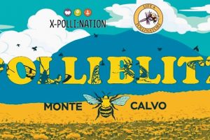 Polliblitz-Monte Calvo_Toscana-ambiente