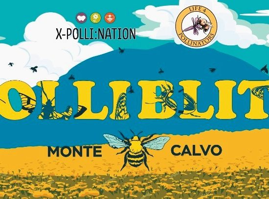 Polliblitz-Monte Calvo_Toscana-ambiente