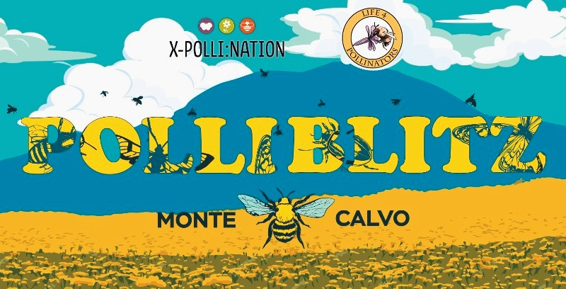 Polliblitz-Monte Calvo_Toscana-ambiente