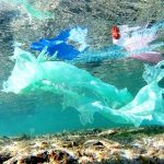 plastica-microplastiche-mare_Toscana-ambiente