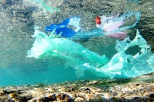 plastica-microplastiche-mare_Toscana-ambiente