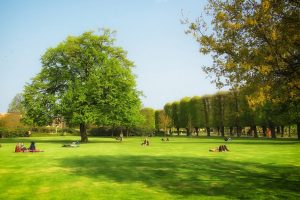 associazioni-Il-Verde-non-è-solo-un-colore-Pisa-Toscana-ambiente