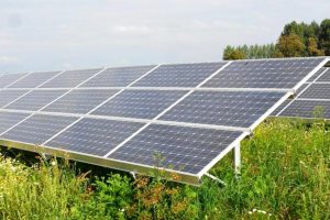 fotovoltaico-a-terra_Toscana-ambiente