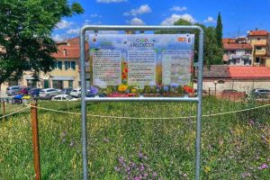 giardino-naturale-impollinatori_Toscana-ambiente