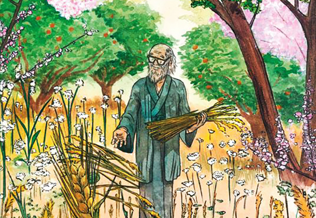 La-Rivoluzione-a fumetti-Masanobu-Fukuoka-Toscana-ambiente