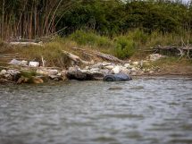 fiume-stato-acque_Toscana-ambiente