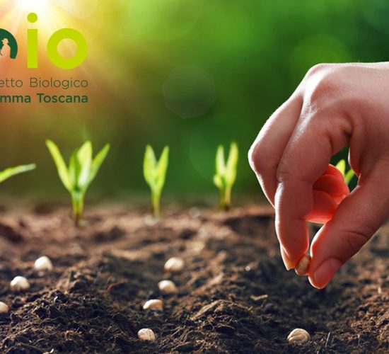 programma-formazione-Distretto-biologico-della-Maremma-bio-Toscana-ambiente