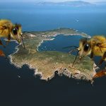 api-selvatiche-apicoltura-Giannutri-Toscana-ambiente