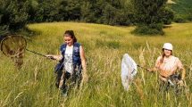 impollinatori-monitoraggio_Toscana-ambiente