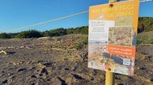 Fratino-recinzione-associazioni_Toscana-ambiente