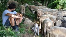 Pasturs-pastori-volontari_Toscana-ambiente