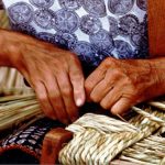 Intreccio-erbe-palustri-Fucecchio_Toscana-ambiente