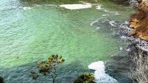 Orbetello-Ansedonia-Inquinamento_Toscana-ambiente