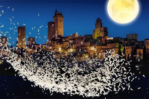 Riso-Carnaroli-80-Biodistretto-San-Gimignano-Toscana-ambiente-bio-biologico