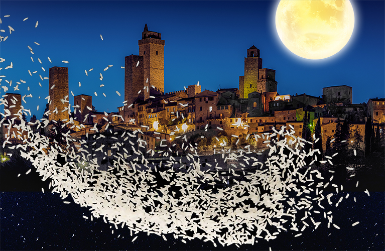 Riso-Carnaroli-80-Biodistretto-San-Gimignano-Toscana-ambiente-bio-biologico