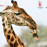 Valter Bernardeschi-mostra_Toscana-ambiente