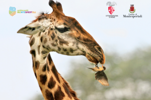 Valter Bernardeschi-mostra_Toscana-ambiente