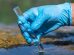 contaminazione-chimica-contaminazioni-chimiche-acque-Toscana-ambiente