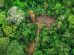 deforestazione-Amazzonia-Brasile_Toscana-ambiente