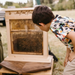 festival-biodiversità-Scandicci_Toscana-ambiente