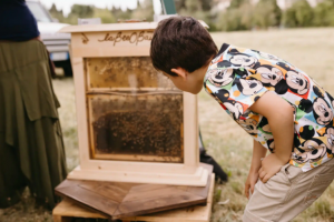festival-biodiversità-Scandicci_Toscana-ambiente