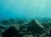 microplstiche-prondità-oceaniche-Toscana-ambiente