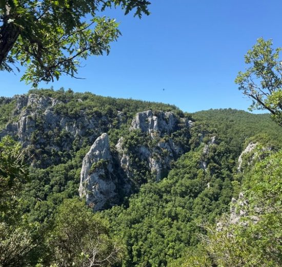 Oasi-Bosco-Rocconi_Toscana-ambiente
