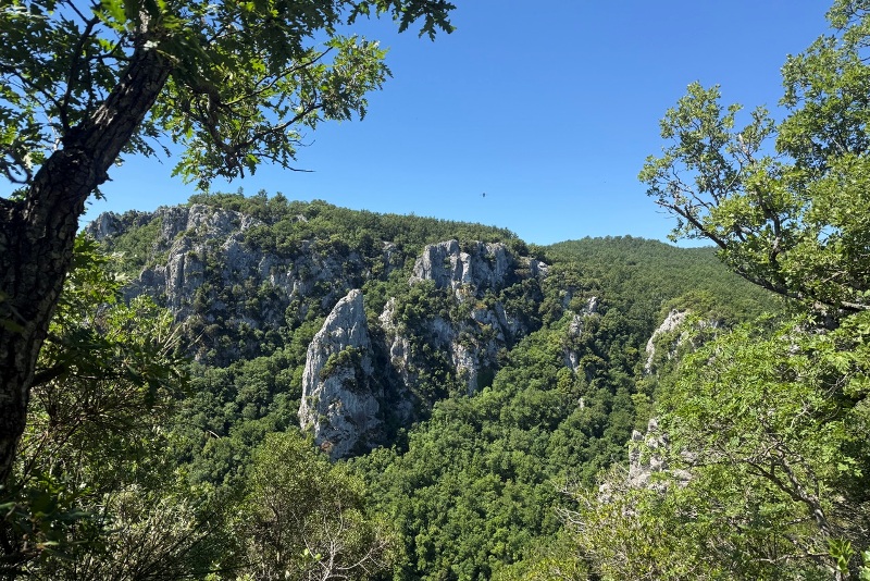 Oasi-Bosco-Rocconi_Toscana-ambiente