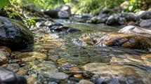 PFOS-acque-Toscana-ecologica-ambiente