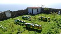 api-Gorgona-detenuti-formazione_Toscana-ambiente