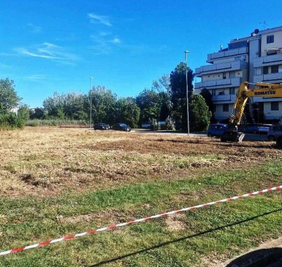 bosco-Pisa-associazioni-Toscana-ambiente
