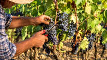coltivare-biologico-ufficio_Toscana-ambiente