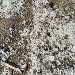granuli-provenienza-materiale_Toscana-ambiente