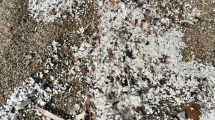 granuli-provenienza-materiale_Toscana-ambiente