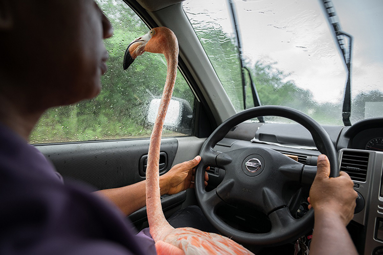 Jasper Doest, Wild Spirit. Human Rhythms, @SienaAwardsPhotoFestival2026