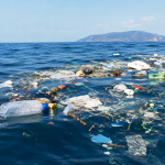 Plastic-Tax-plastica_Toscana-ecologica