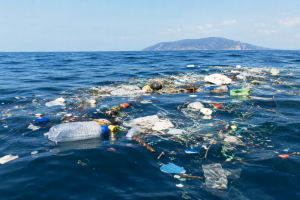 Plastic-Tax-plastica_Toscana-ecologica