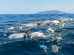 Plastic-Tax-plastica_Toscana-ecologica