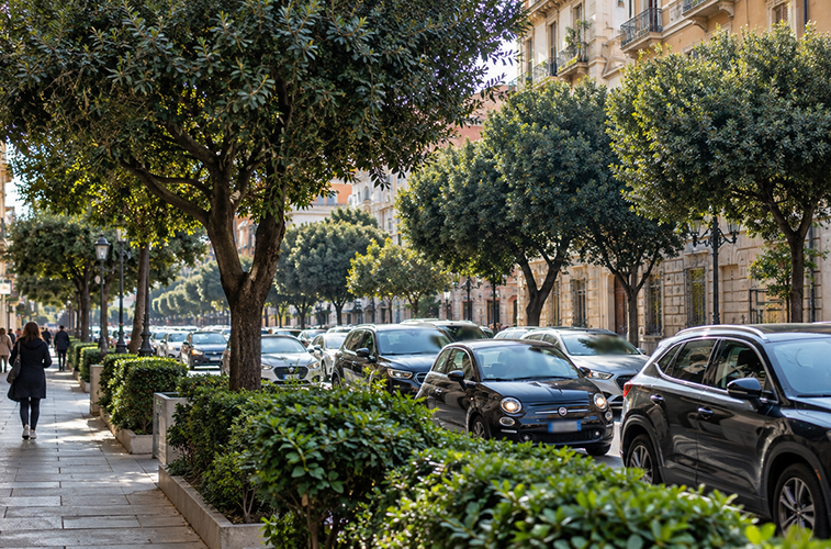 Risorse-idriche-piante-città-verde-pubblico-Toscana-ecologica-ambiente