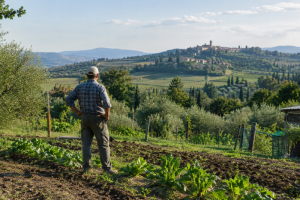 distretti-biologici-filiere_Toscana-Ecologica
