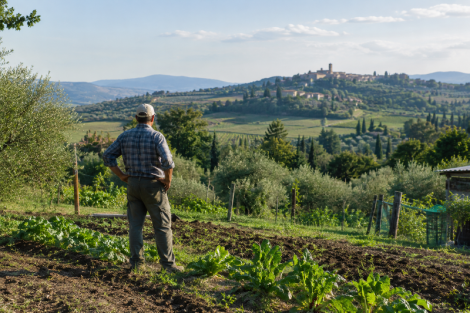 distretti-biologici-filiere_Toscana-Ecologica