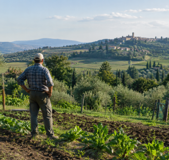 distretti-biologici-filiere_Toscana-Ecologica