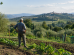 distretti-biologici-filiere_Toscana-Ecologica