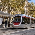 petizione-stop-abbattimenti-petizione-tramvia_Toscana-ecologica