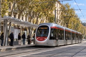 petizione-stop-abbattimenti-petizione-tramvia_Toscana-ecologica