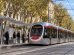petizione-stop-abbattimenti-petizione-tramvia_Toscana-ecologica
